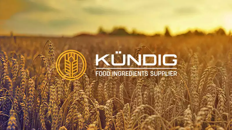 thumbnail - kündig employee app