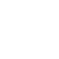 logo - white - giz