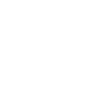 logo - white - giz